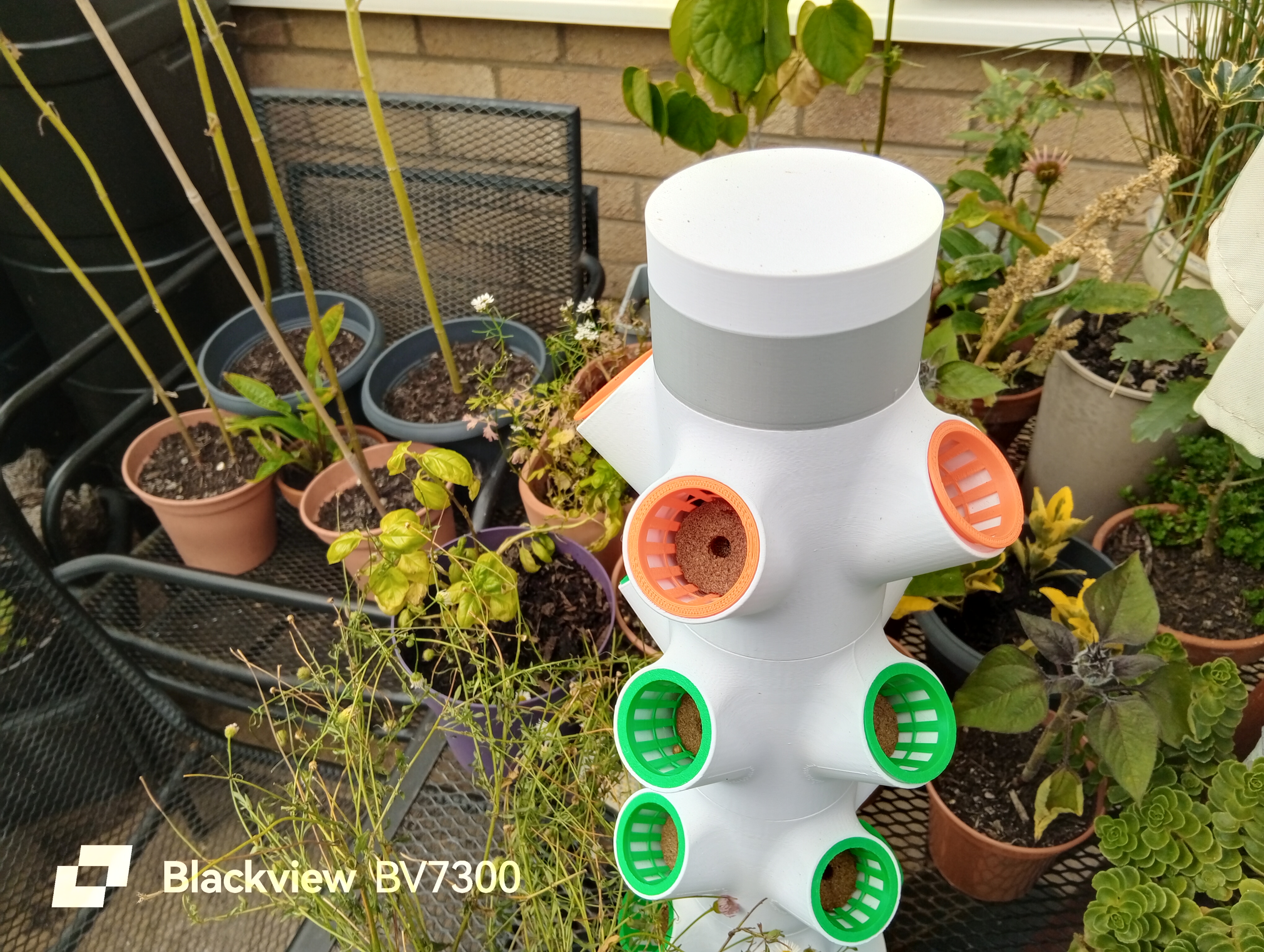 Blackview BV7300 Example images