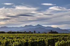 Clouston Vineyard, Fairhall, Marlborough, New Zealand Greywacke Chardonnay