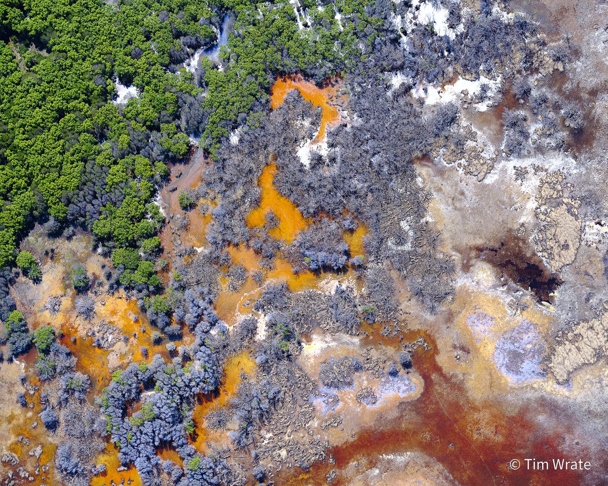 Australian Geographic Nature Photographer of the Year 2021