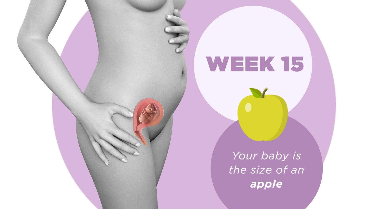 Pregnancy week by week