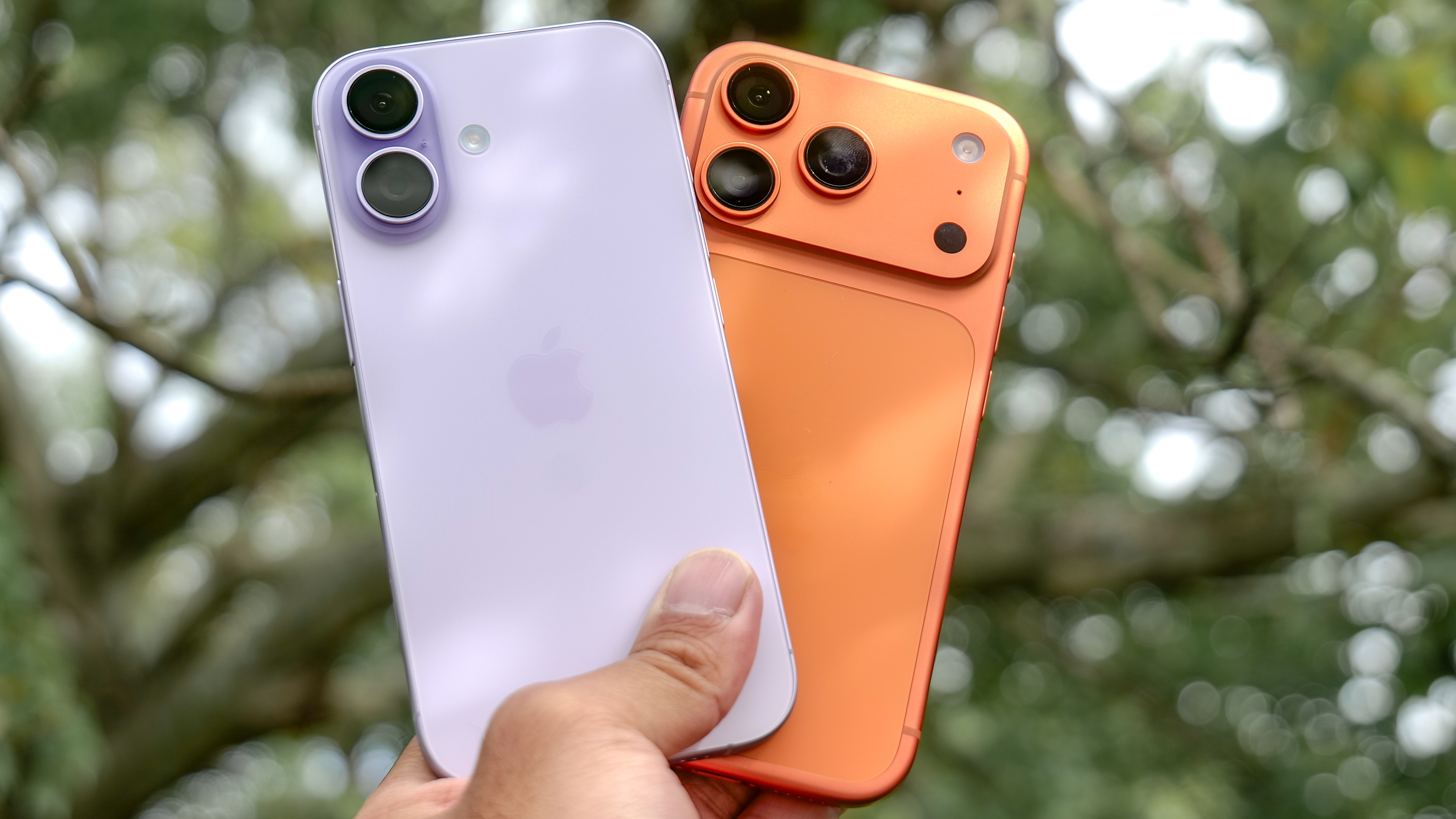 iPhone 17 vs iPhone 17 Pro held in the hand.