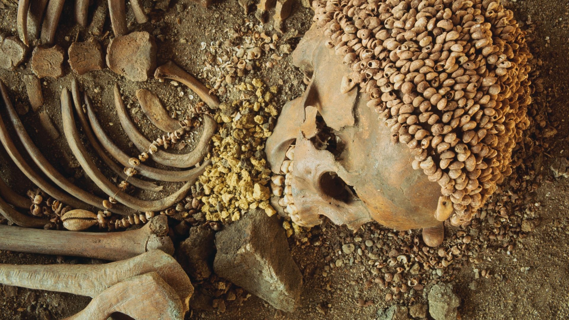 Rare skeletons up to 30,000 years old reveal when ancient humans went ...