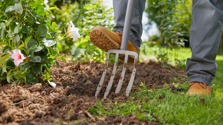 Best Garden Tools 2020 Non Powered Manual Garden Tools To Trim