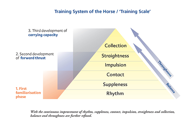 Training system