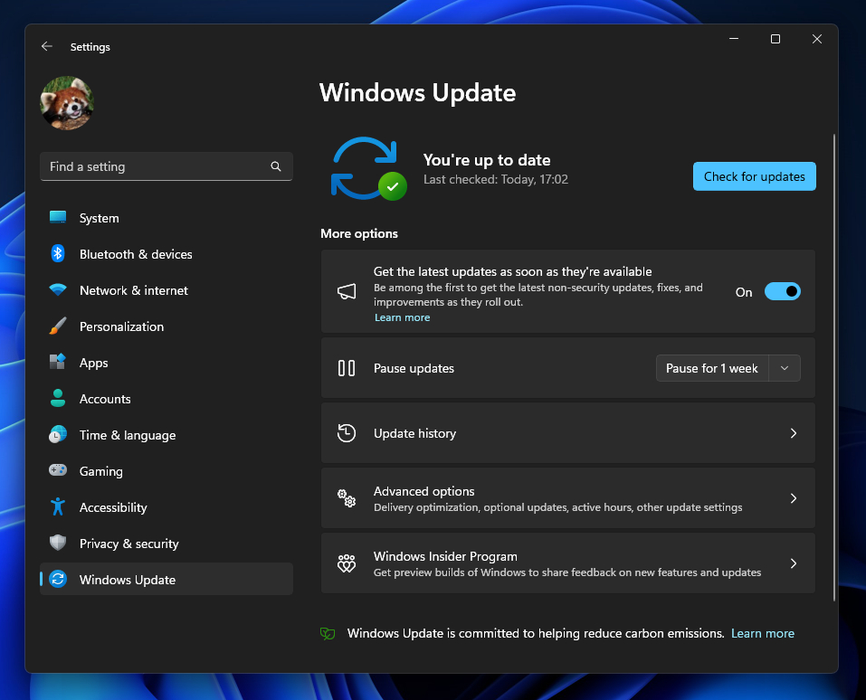 Windows 11 How To Update