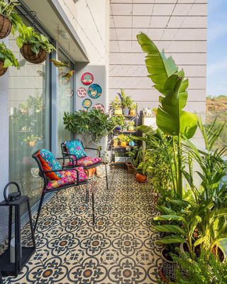 Colorful balcony with tall plants