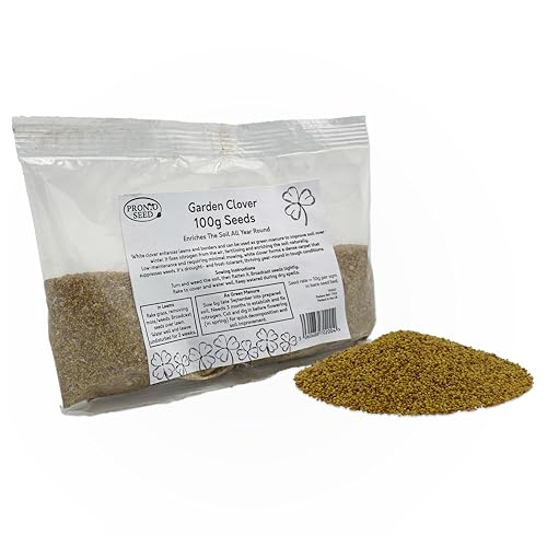 Pronto Seed White Clover Seeds 100g - Fast Growing Winter Ground Cover &amp;amp; Green Manure - Low Maintenance Garden Soil Improver With Nitrogen Fixing Roots - Bird &amp;amp; Bee Friendly (100g)