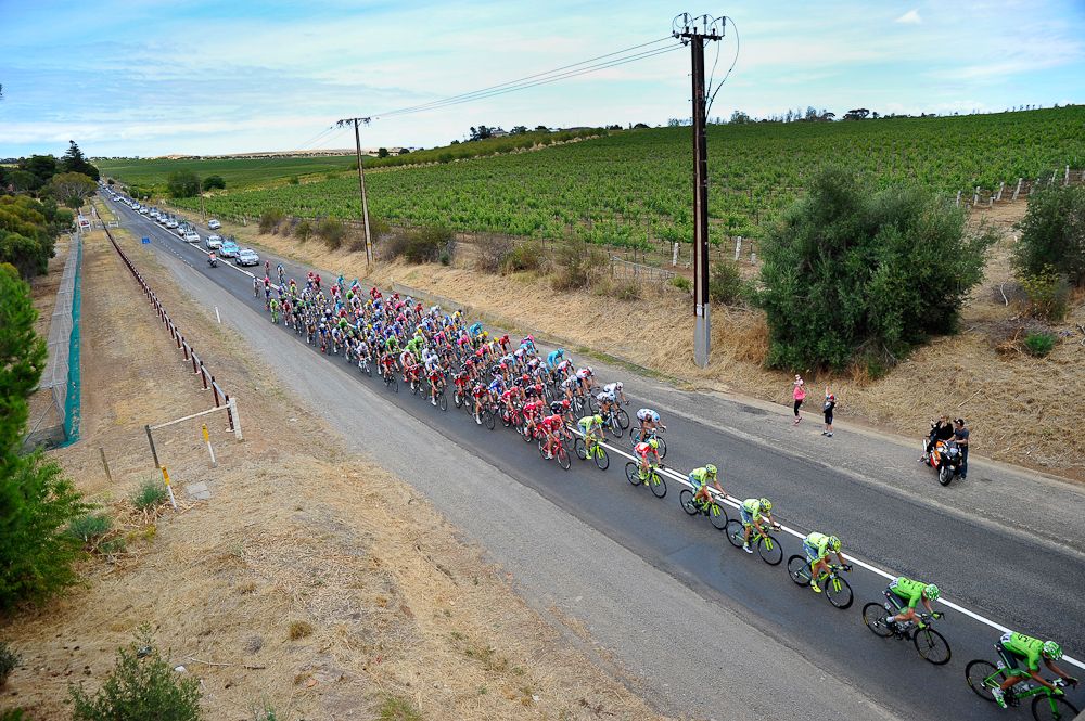 The peloton heads down a straightaway during stage five of the Tour Down Under