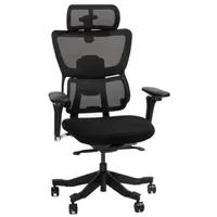 FlexiSpot C7 Max FlexiSpot C7 Max