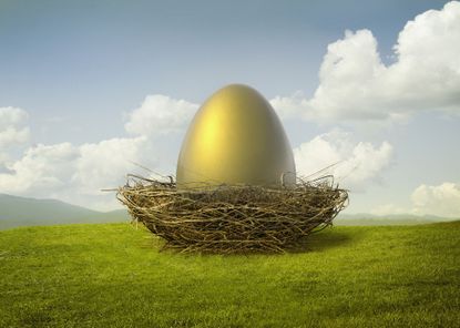 Large golden egg within a birds nest on a grassy field