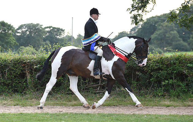 WAYNE THORNEYCROFT riding MAKERS JAR OF HEARTS, winner of the Skewbald &amp;amp; Piebald Ridden Horse Championship during the Royal International Horse Show at The All England Jumping Course, Hickstead, West Sussex, UK on 26 July 2016
