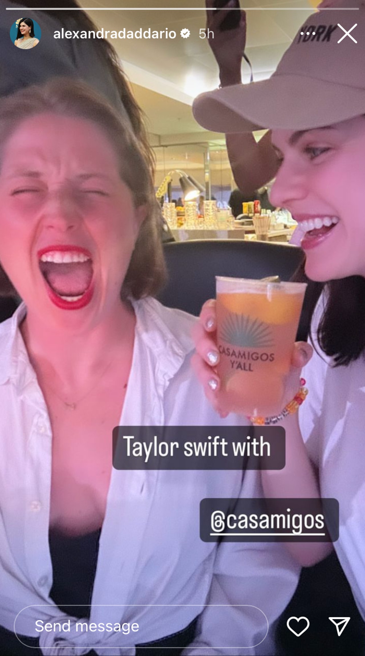 Alexandra Daddario and her friend smiling at the Eras Tour.