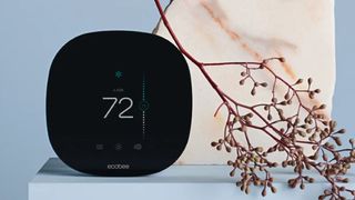 Ecobee3 Lite smart thermostat on blue shelf with decorative plant and rock