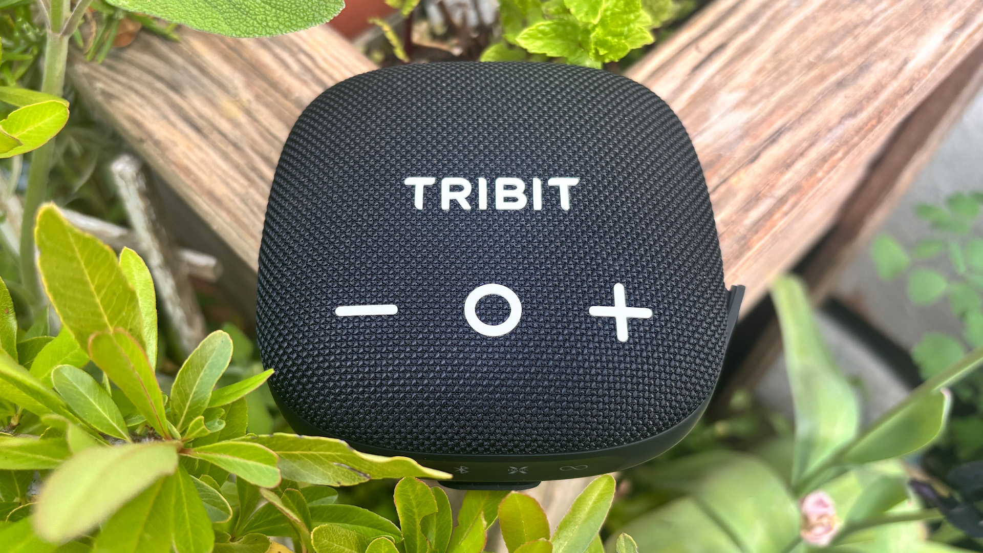 Tribit Stormbox Micro 3 Bluetooth speaker on wooden planter in sunshine, side view