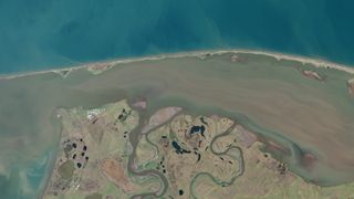 A remote region in Alaska where groups of walruses can be seen from space in satellite data.