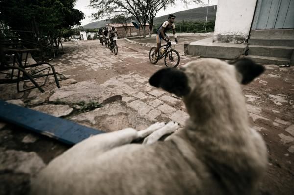 Pedal urbano