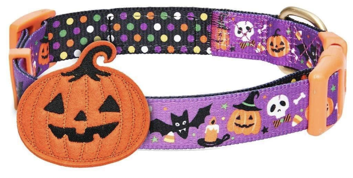Best Halloween dog collars Dress your dog for the holiday PetsRadar