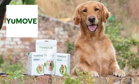 Yumove Logo placed over a picture of a cat and dog standing next to eachother