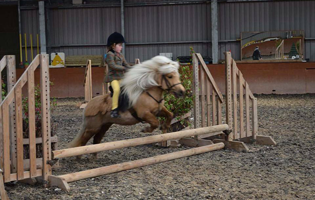 Summer-jumping.jpg