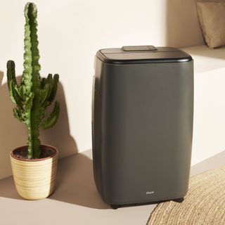 Black portable air conditioner next to house plant
