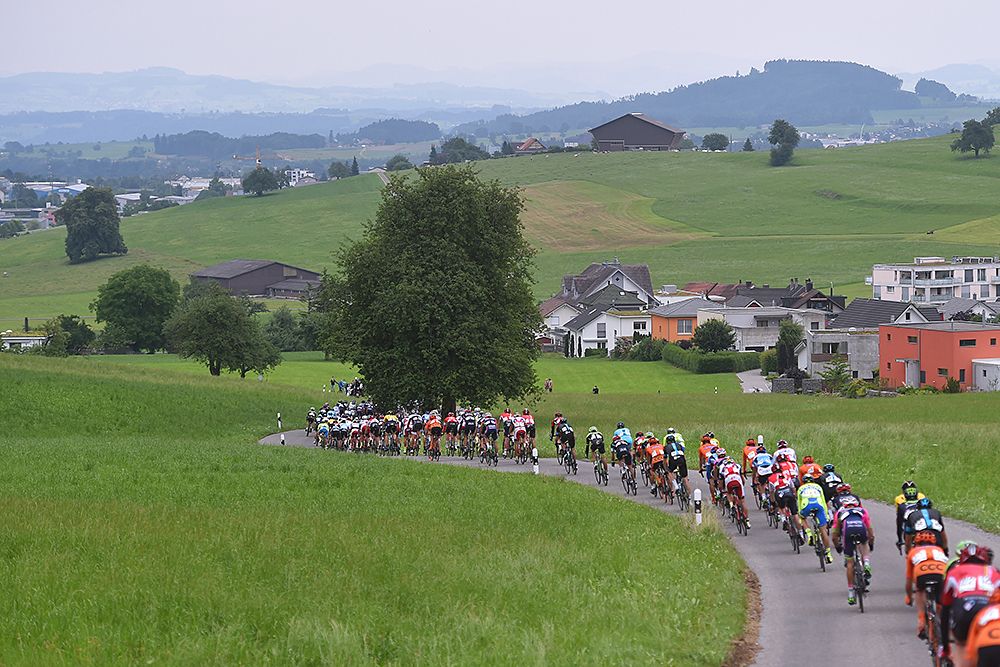 The peloton during stage 4 at the Tour de Suisse
