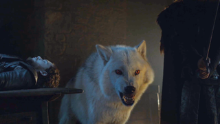 Ghost the direwolf on Game of Thrones