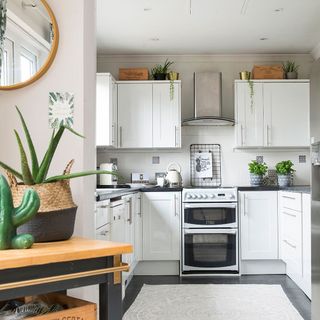 A white kitchen with green plants and decorative boxes