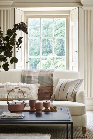 Beige living room with beige sofa and terracotta accents