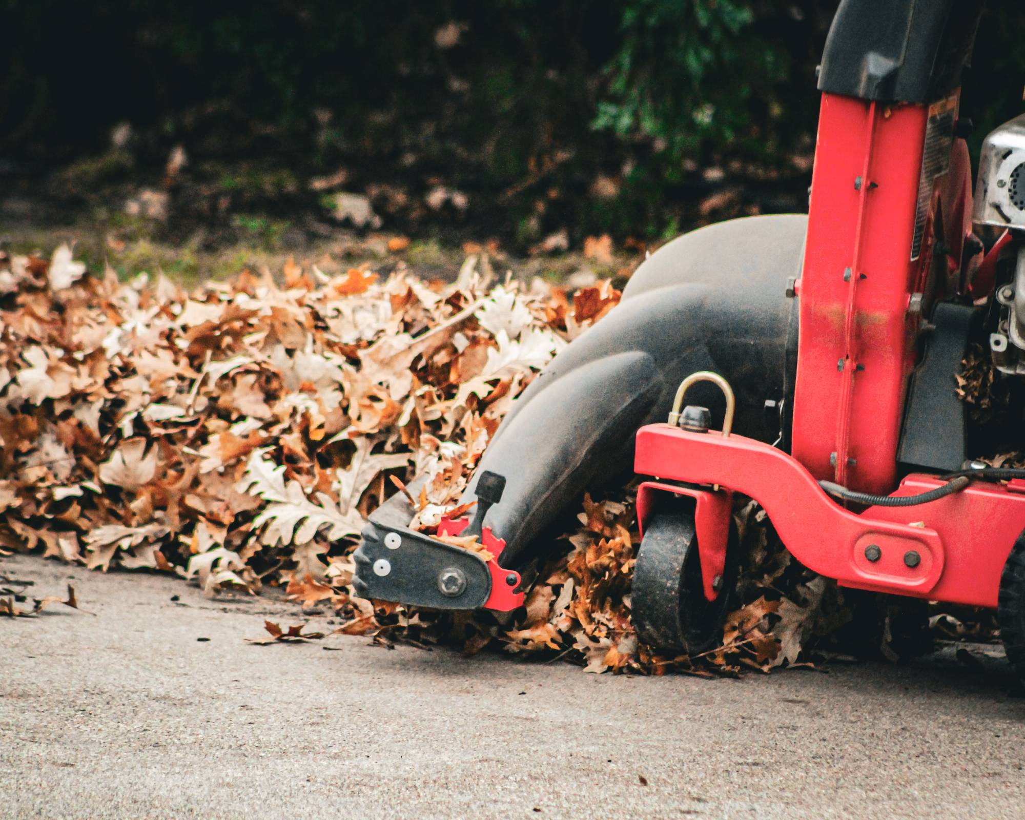 Leaf vacuum for fall leaf cleanup