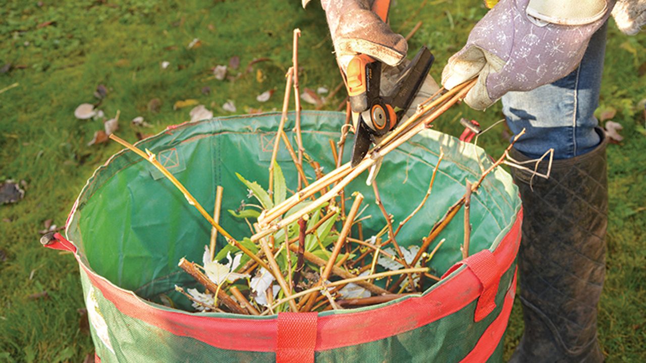 autumn pruning