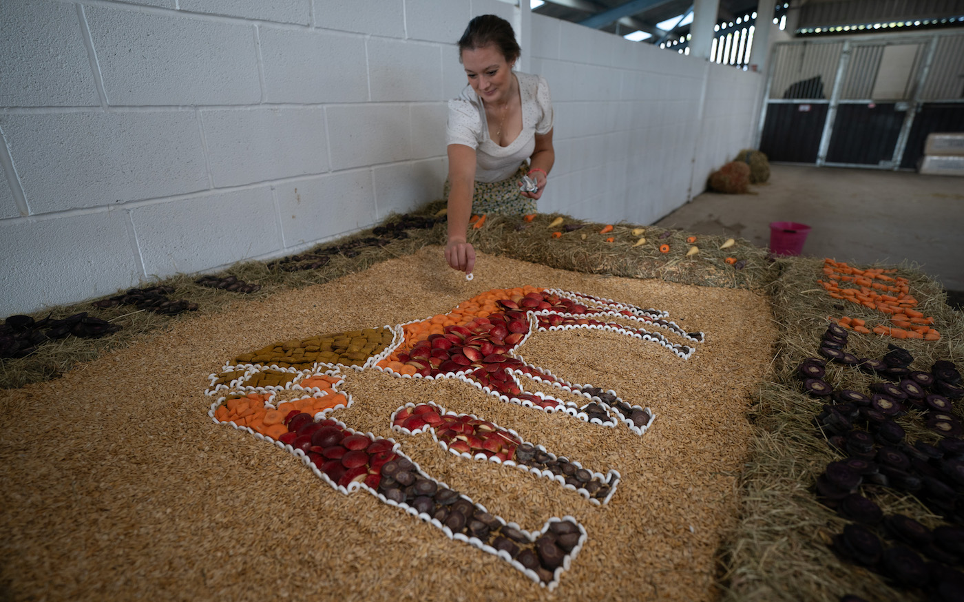 RacehorseWeekOvers_080