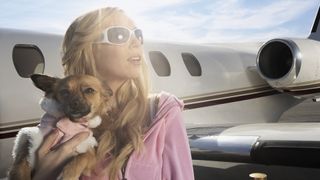 Dog with jetset girl outside airplane