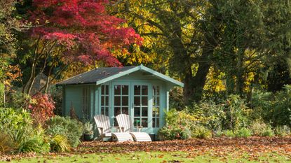 Fall garden with leaves and green shed