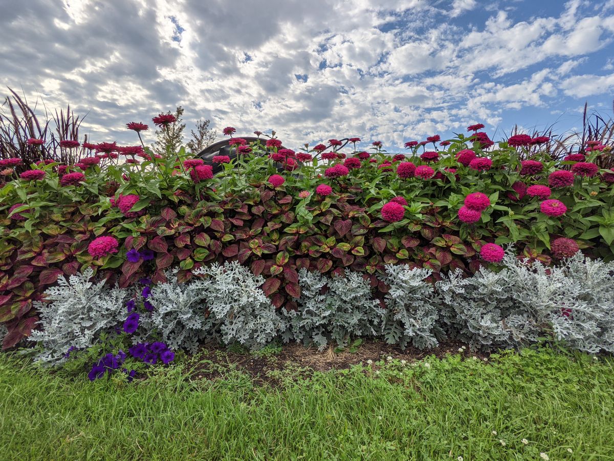 Pixel 5a camera samples