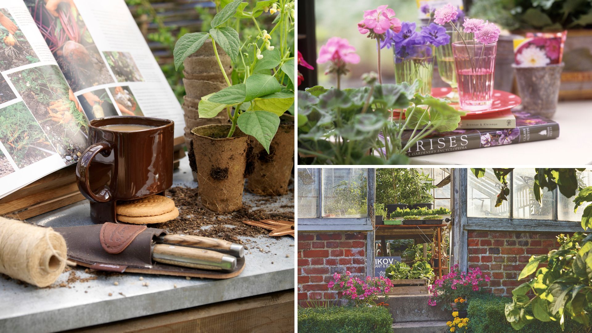 collage of garden greenhouses with plants, tools and a cup of tea