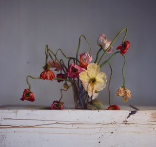 Vase of Live & Dead Poppies, 2018, by Richard Learoyd