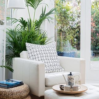 living area with plant and white chair