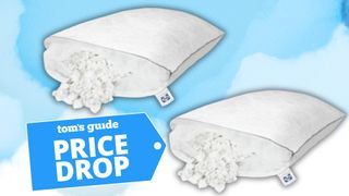 Two Sealy Adjustable Pillows on a white-and-blue background.In the bottom left foreground, there is a Price Drop deals badge. 