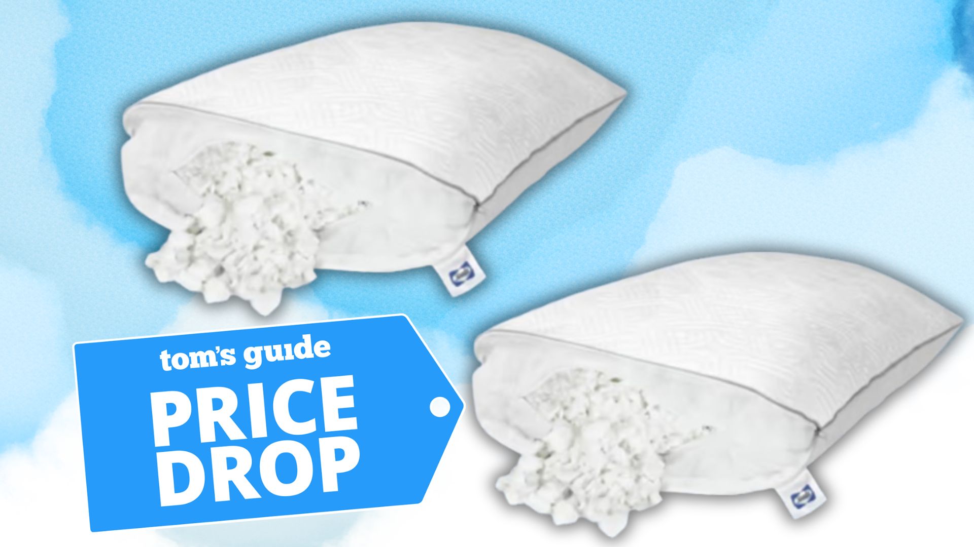 Two Sealy Adjustable Pillows on a white-and-blue background.In the bottom left foreground, there is a Price Drop deals badge. 