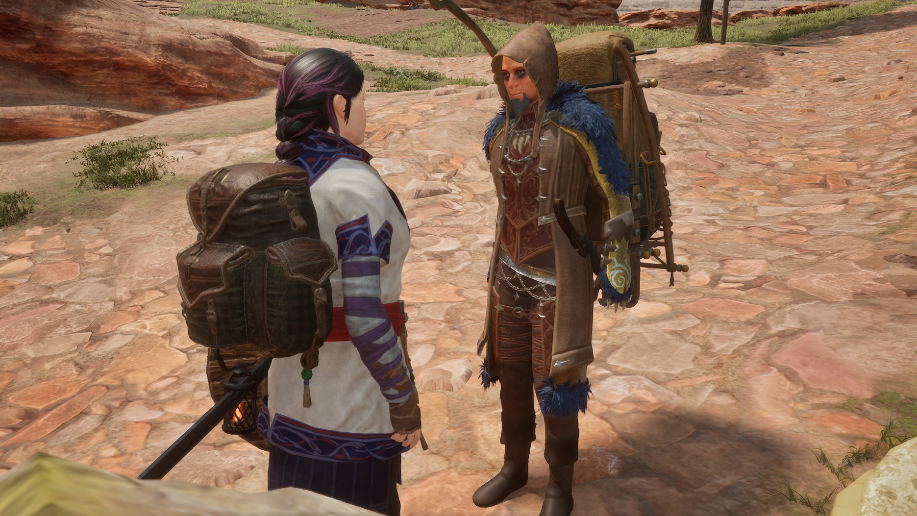 Adventurer talking to a traveling merchant wearing a well big backpack