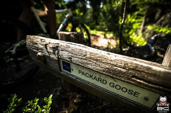 2. Packard Goose is a Lost Lake trail named after a Frank Zappa song