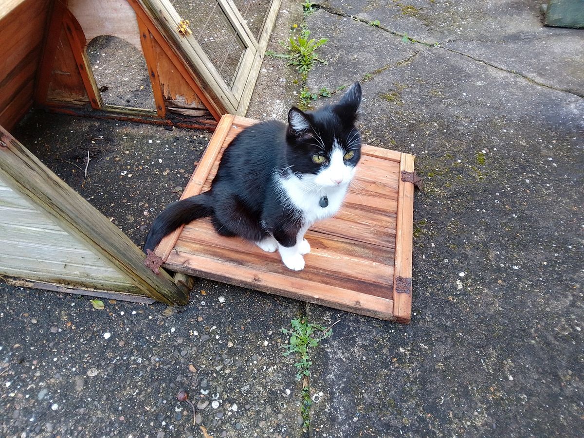 A Nokia G11 camera sample