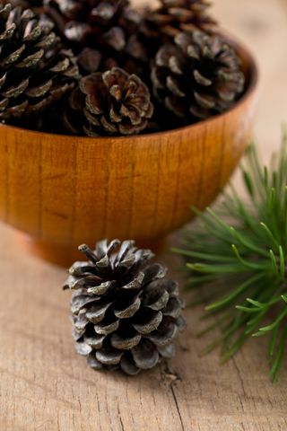 A close up of pinecones in a bowl