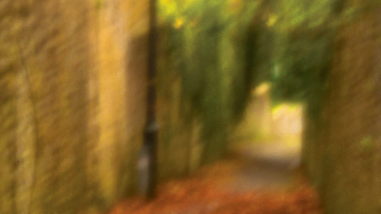 Blurred image of a narrow walkway lined with stone walls and covered in autumn leaves under colorful foliage