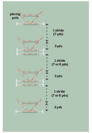 gemma-diagram-1.jpg