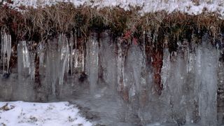 Icicles formed from the permafrost meltwater fringe a cut in the earth.