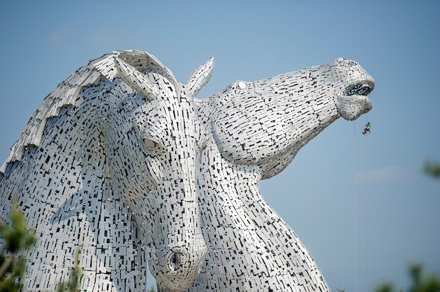 The Kelpies get health checked.photo: Peter Sandground