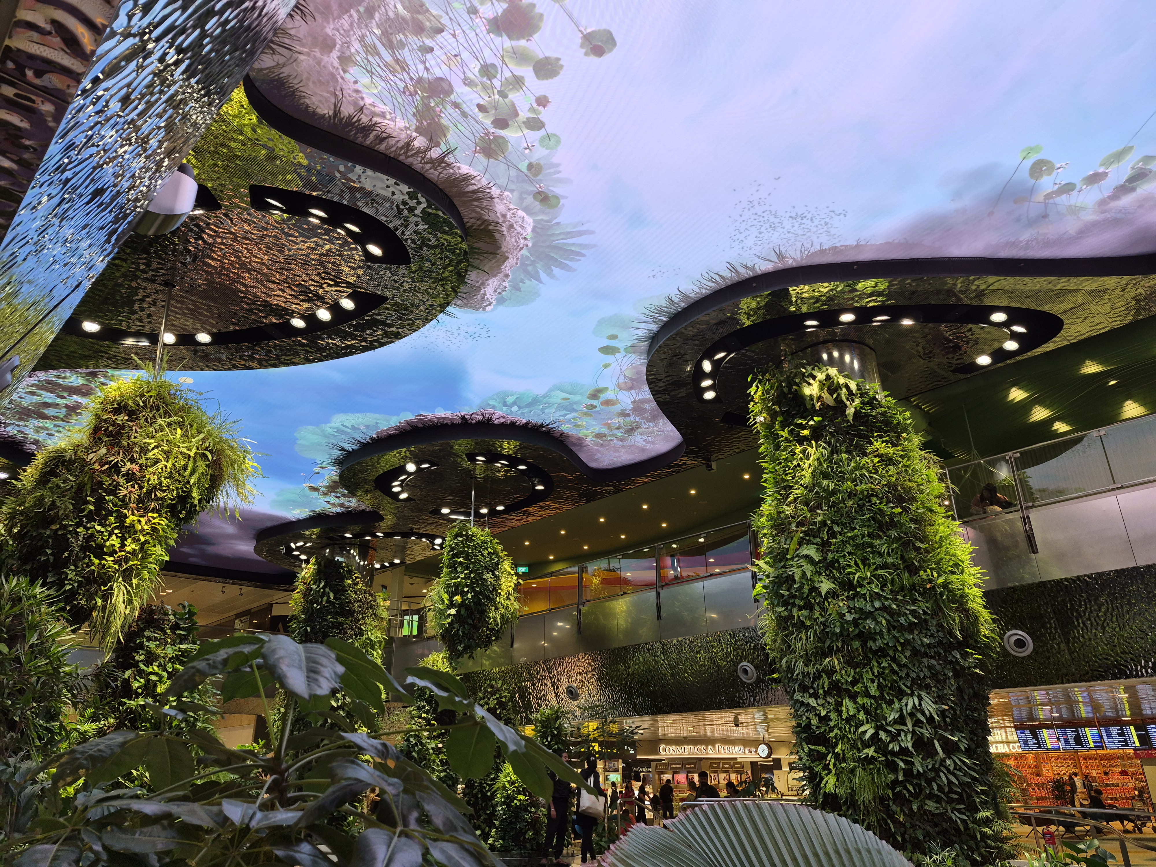 Camera sample captured on the Samsung Galaxy S25 FE