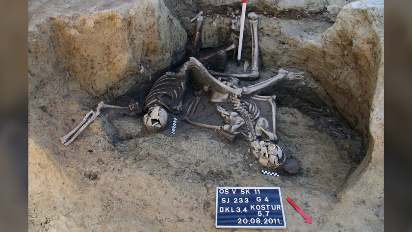 several human skeletons lie head-down in a partially excavated ancient well