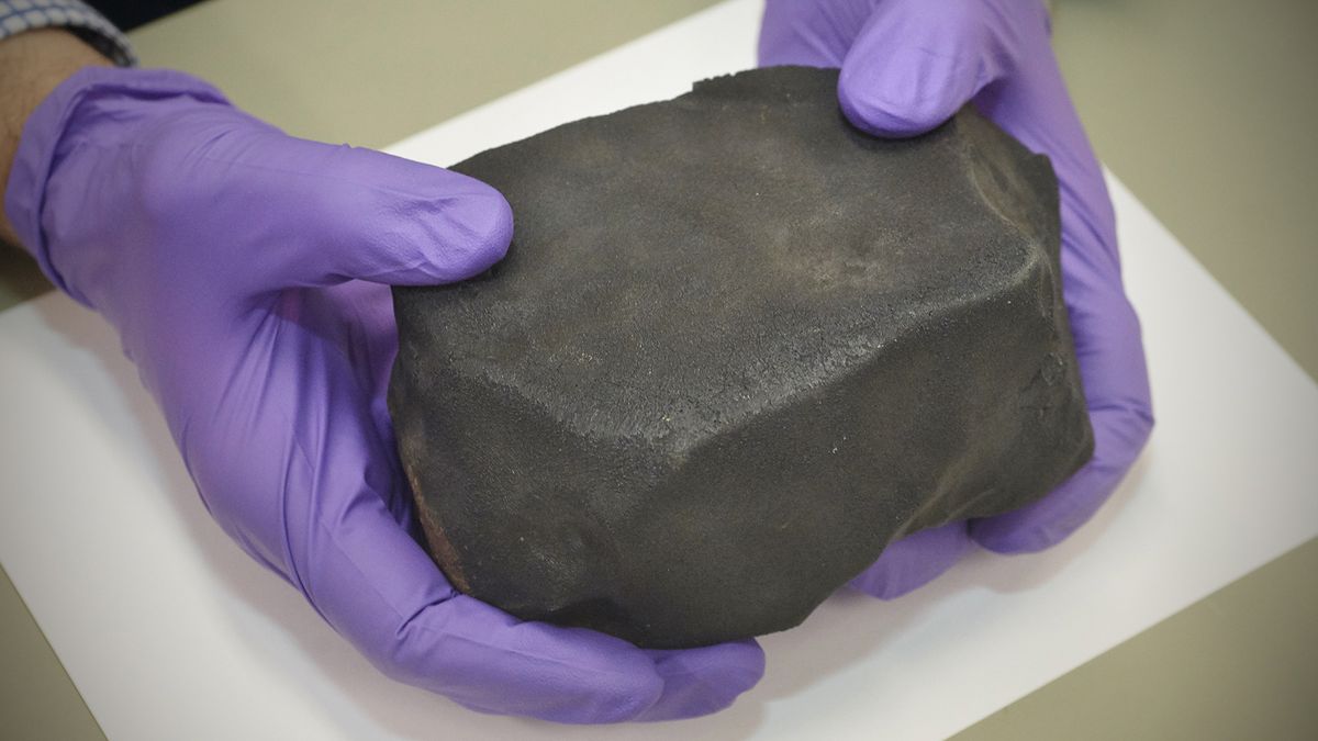 Don&#039;t let its humble appearance fool you; this so-called mudball meteorite holds important clues about how life began on Earth.